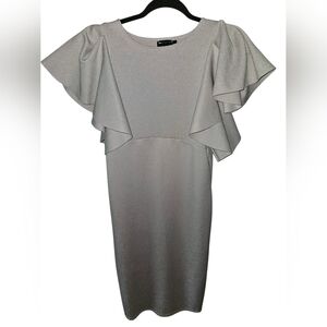 Elegant Gray Ruffle Sleeve Dress